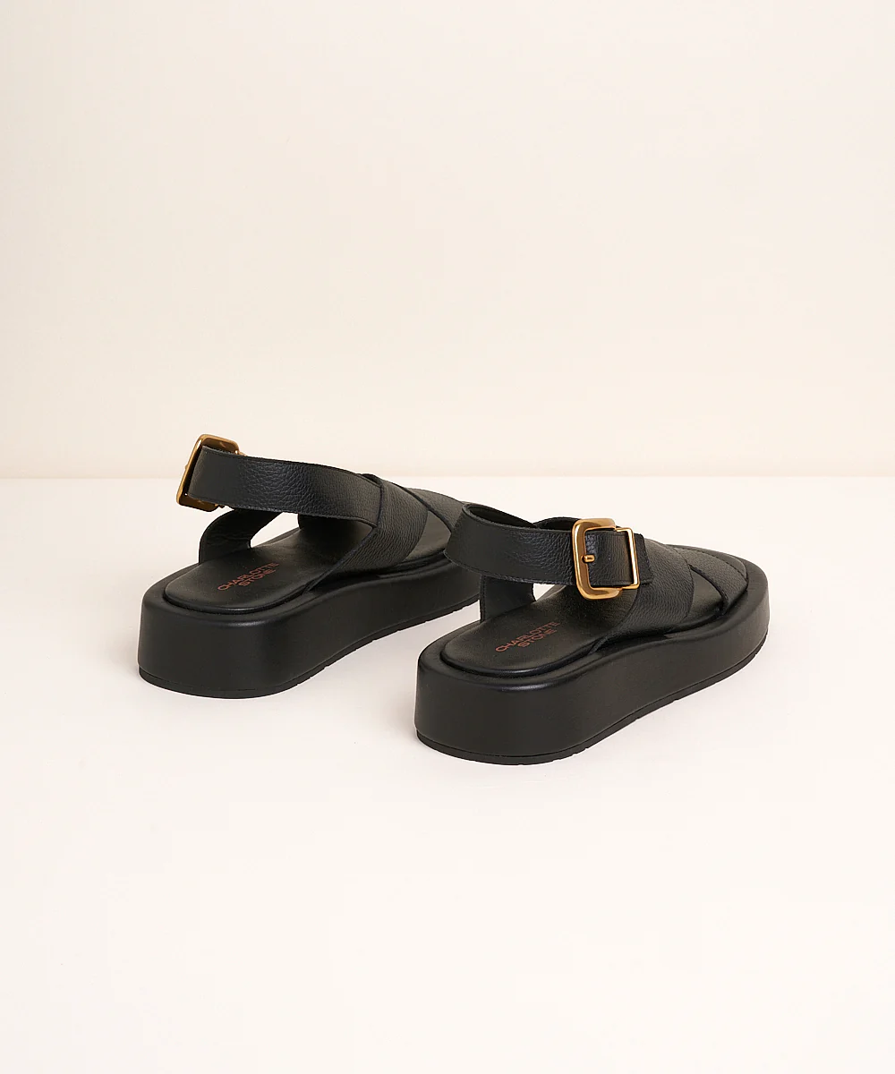 Anto - Image 6